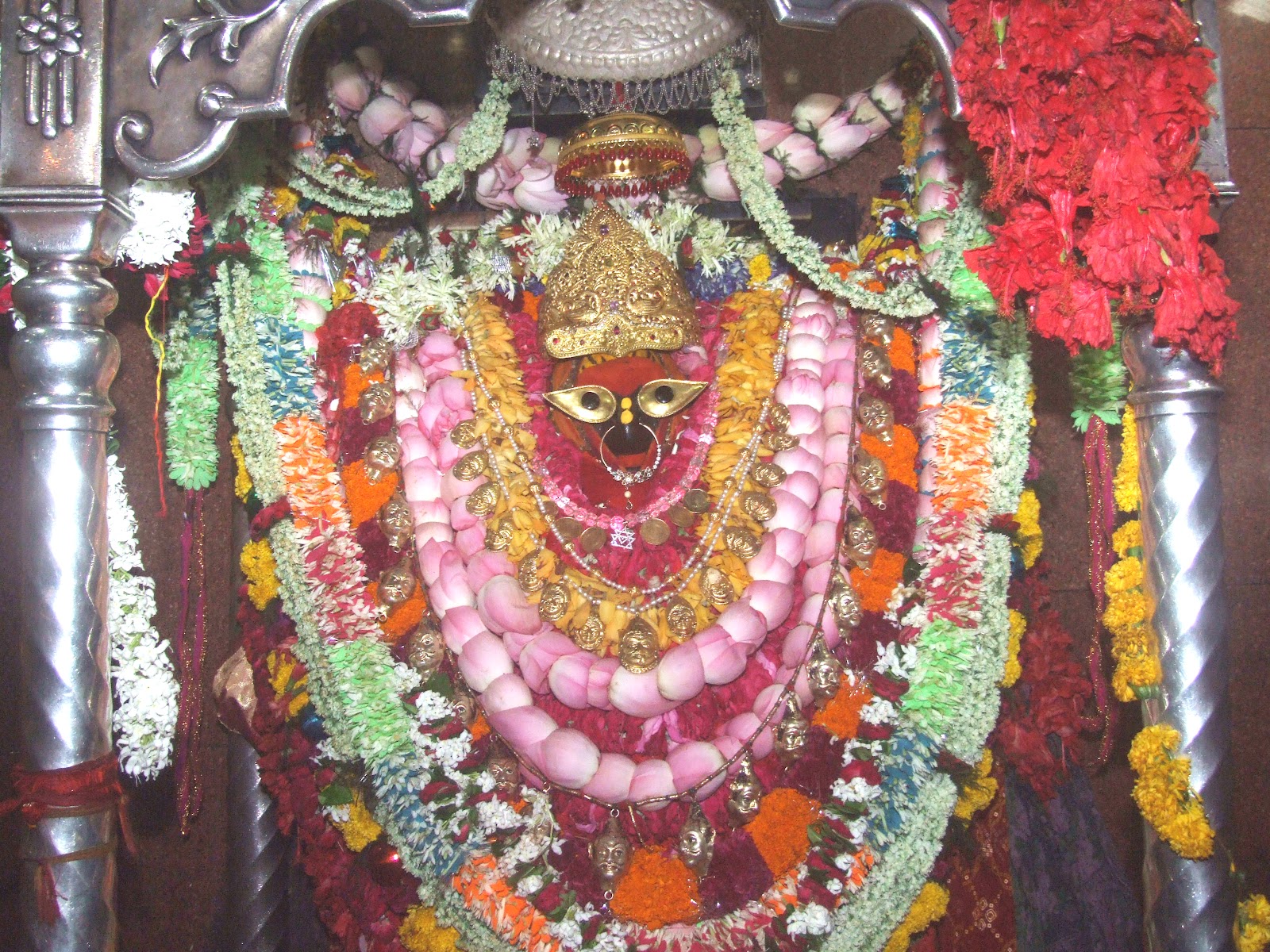 About Vindhya Mahashakti Sewa Sansthan